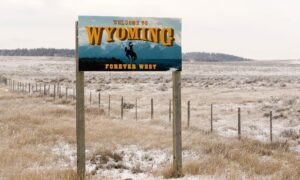 wyoming LLC