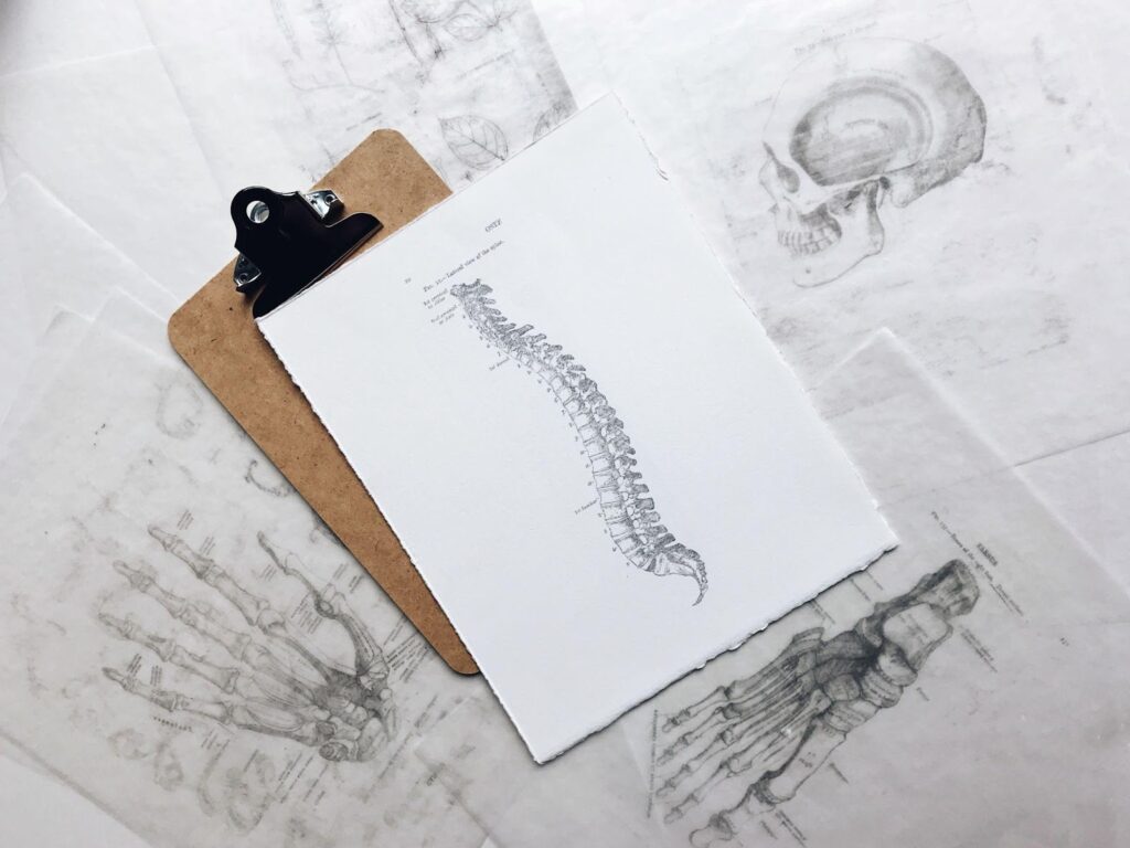 Spinal Painsoi