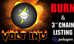 Volt Inu Burn the Bridge Liquidity and List VOLT on Polygon