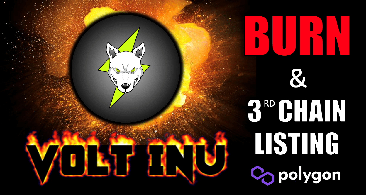 Volt Inu Burn the Bridge Liquidity and List VOLT on Polygon