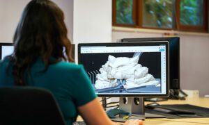 Learning Management Systems