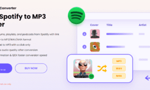 Spotify Music Converter