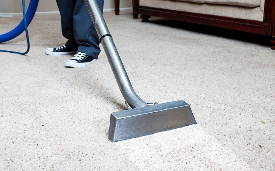 Elevate Your Home's Carpet Appeal Professional Carpet Cleaning