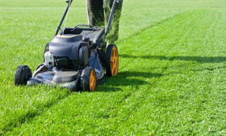 Assessment to do when buying a Lawn Mower