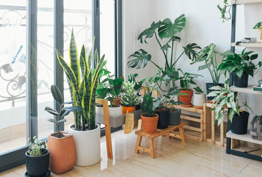How Modern Gardens Will Evolve Into The Future