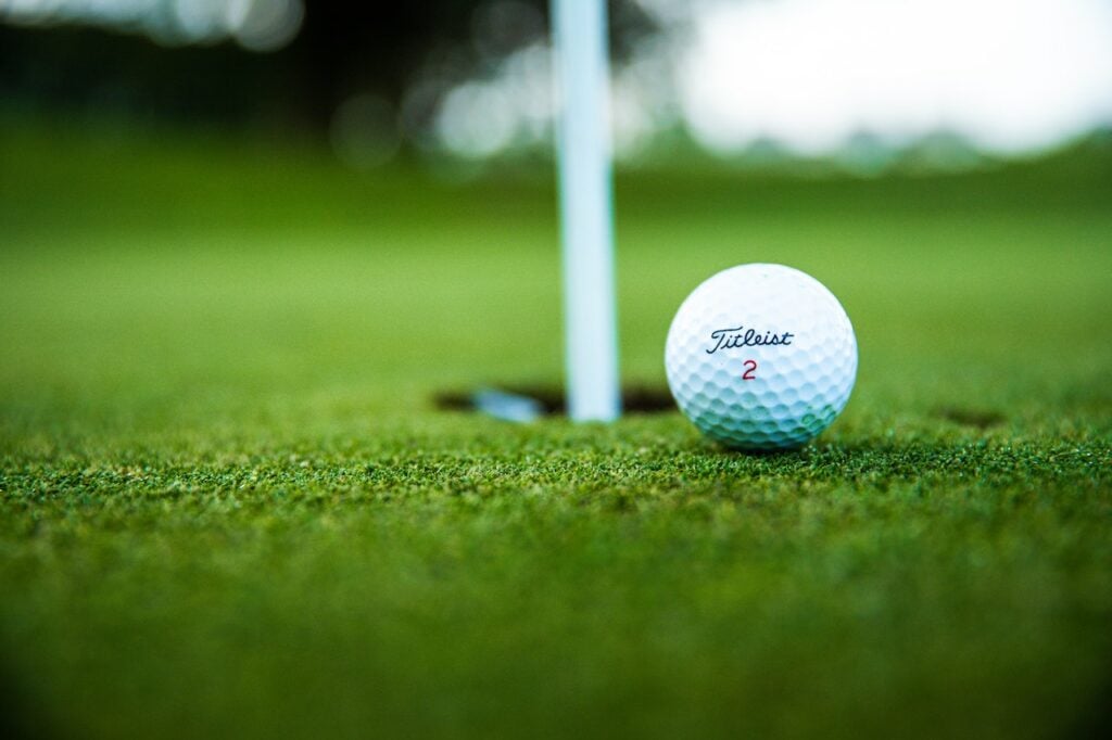 Golf Ball Netting