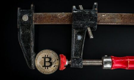 Bitcoin as a Payment Option for Online Auctions and Sales