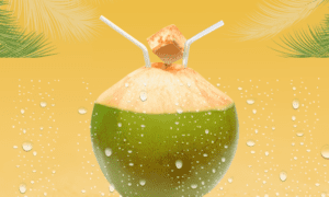 Coconut Water Market 2023