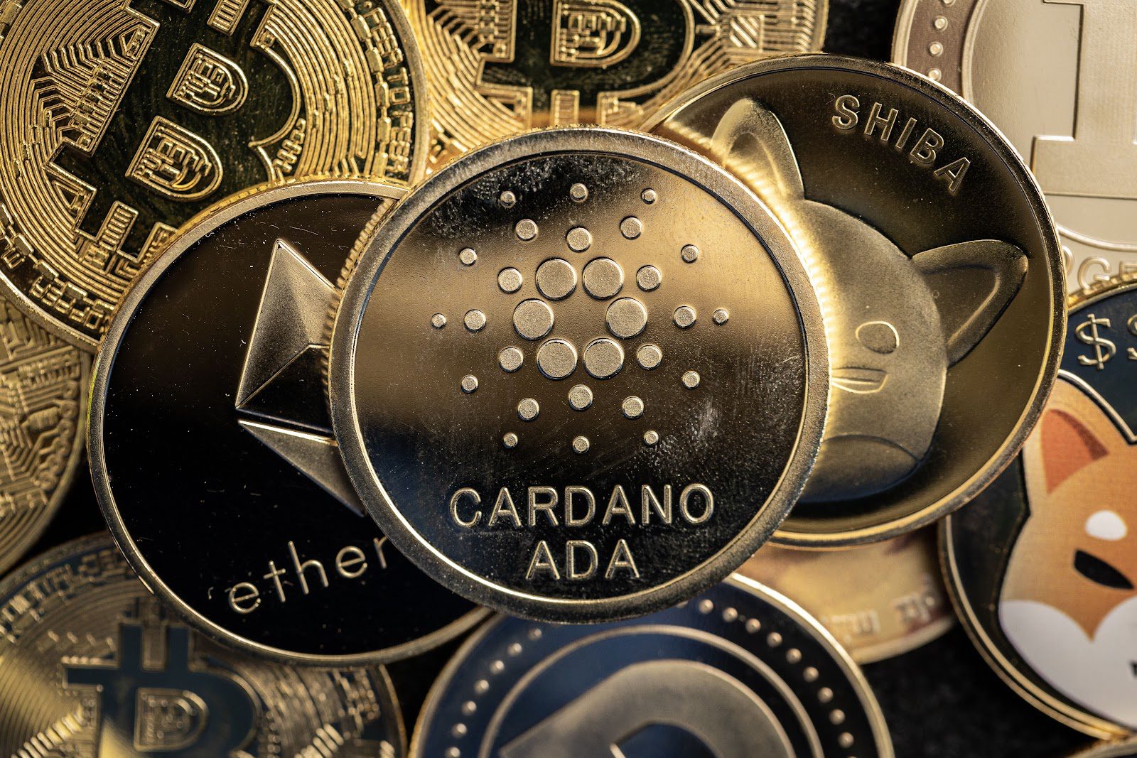 Analysts Say DigiToads (TOADS), Hedera (HBAR), and Cardano (ADA) Are The Best Crypto Assets To Buy for Long-Term Investment 