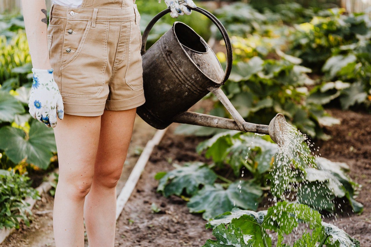 Gardening Tools