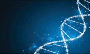 Custom Gene Synthesi