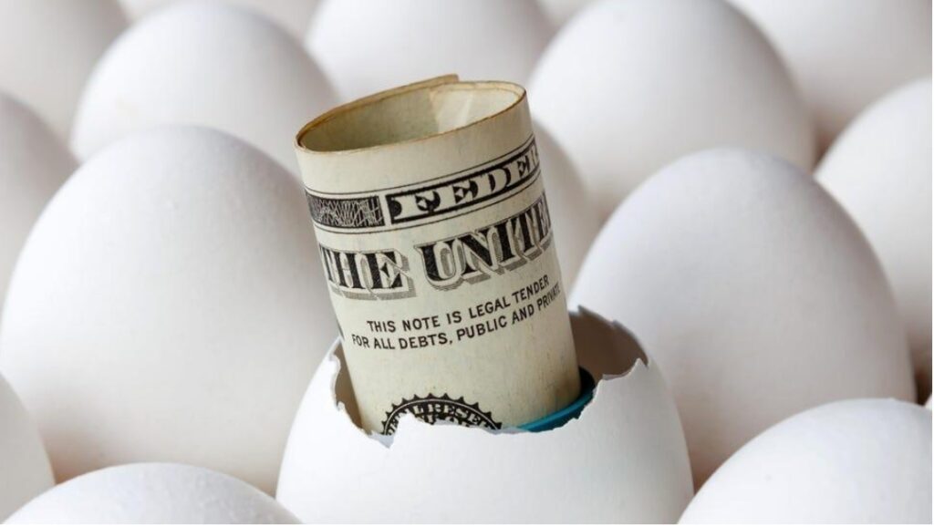 NECC EGG Rate Today Understanding the Current Market Trends TechBullion