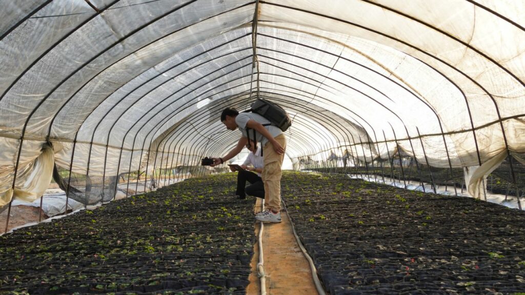 meg millers insights the future of agriculture and how technology is transforming the industry