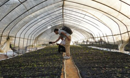 meg millers insights the future of agriculture and how technology is transforming the industry