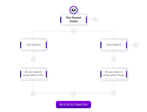 workflows 