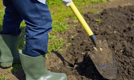 Garden Topsoil