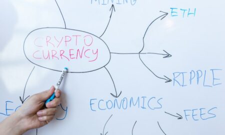 Crypto Ponzi Schemes