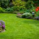 Landscape Services