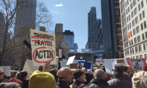 Mental Health and Gun Violence