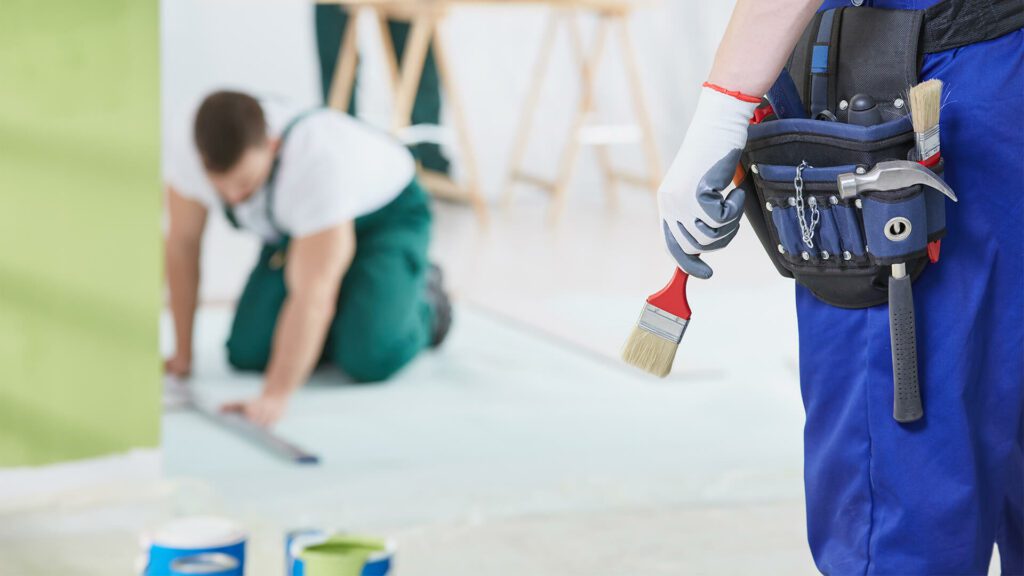 Professional Renovator