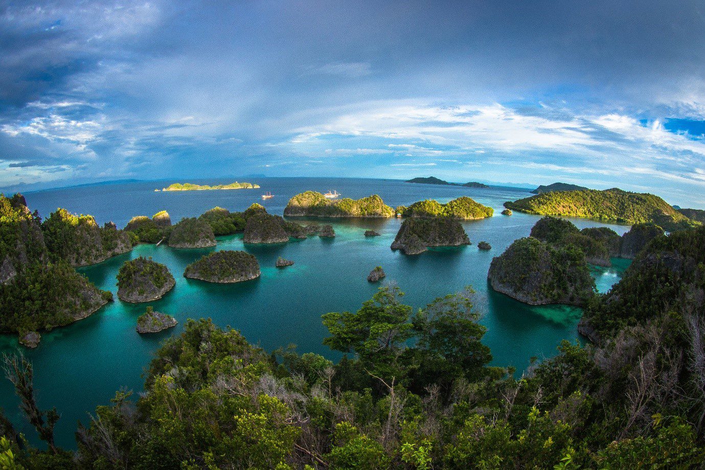 Sun, Sea, and Sail: Luxurious Liveaboard Escapes in Indonesia