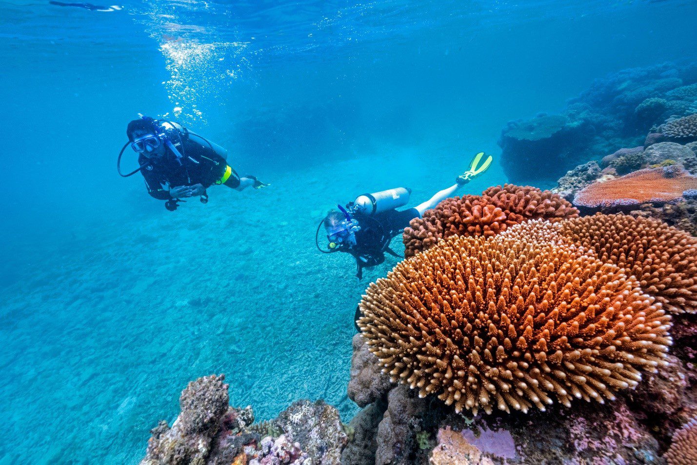 Discover the Enchanting Underwater World: Bali Diving Guide