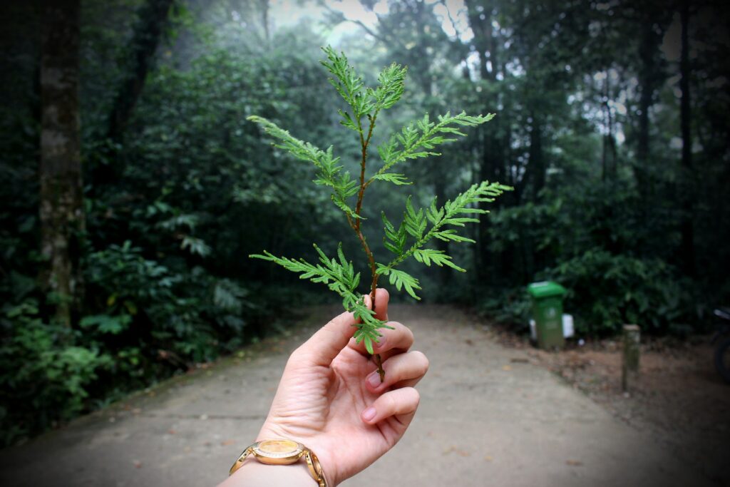 5 Things You Need to Know About Ecology Surveys
