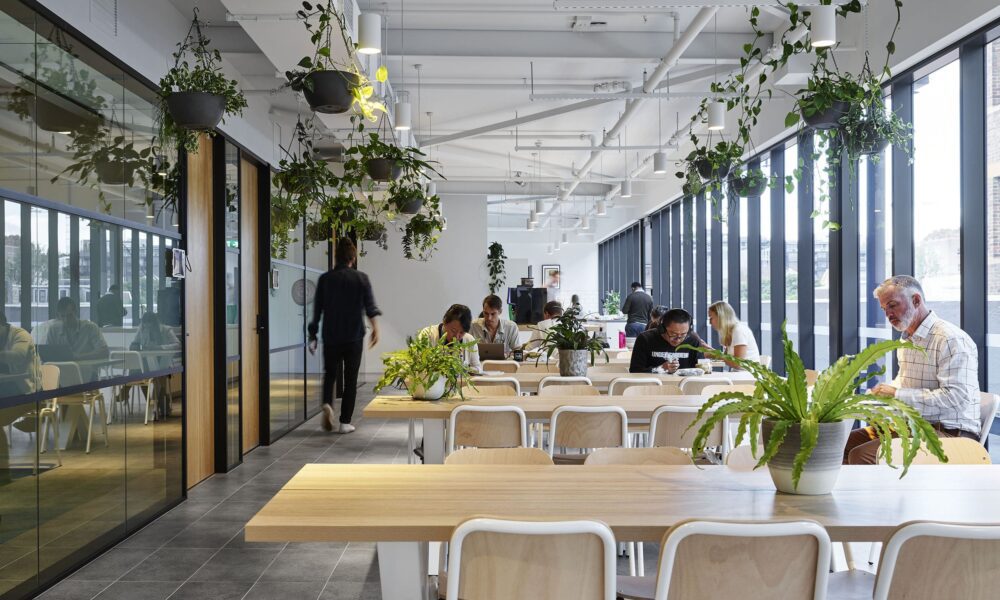 Eco-Friendly Coworking Spaces: How They're Making a Positive Impact on the Environment