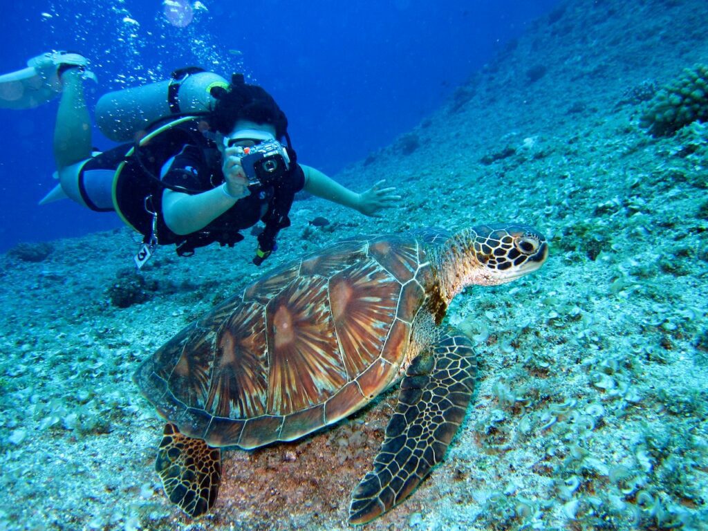 Discover the Best Scuba Diving Destinations in the Bahamas