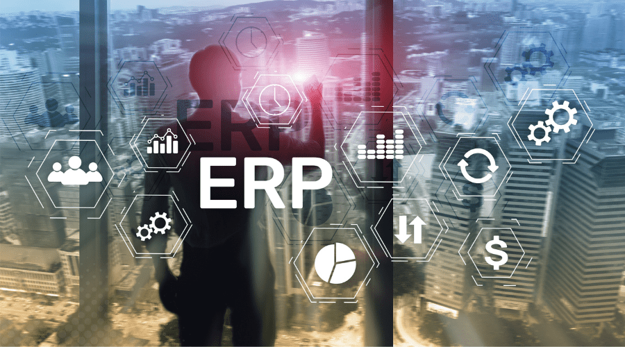 ERP Master Data