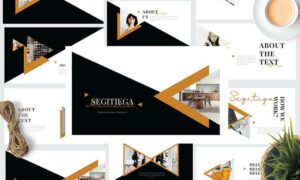 Webinar Presentation Examples