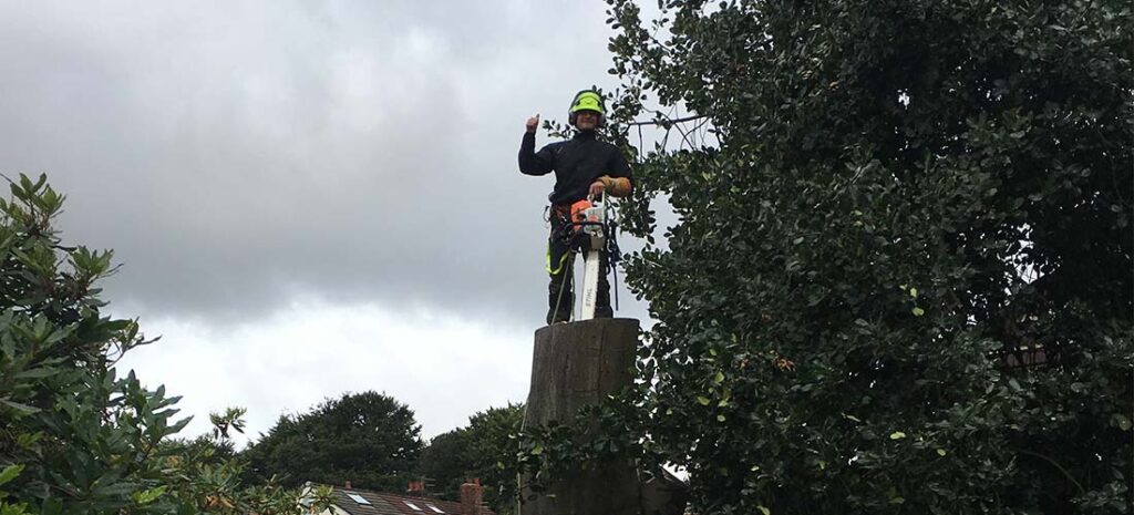 Loughborough Tree Surgeon