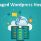 Why Security Should Be a Top Priority in WordPress Hosting?