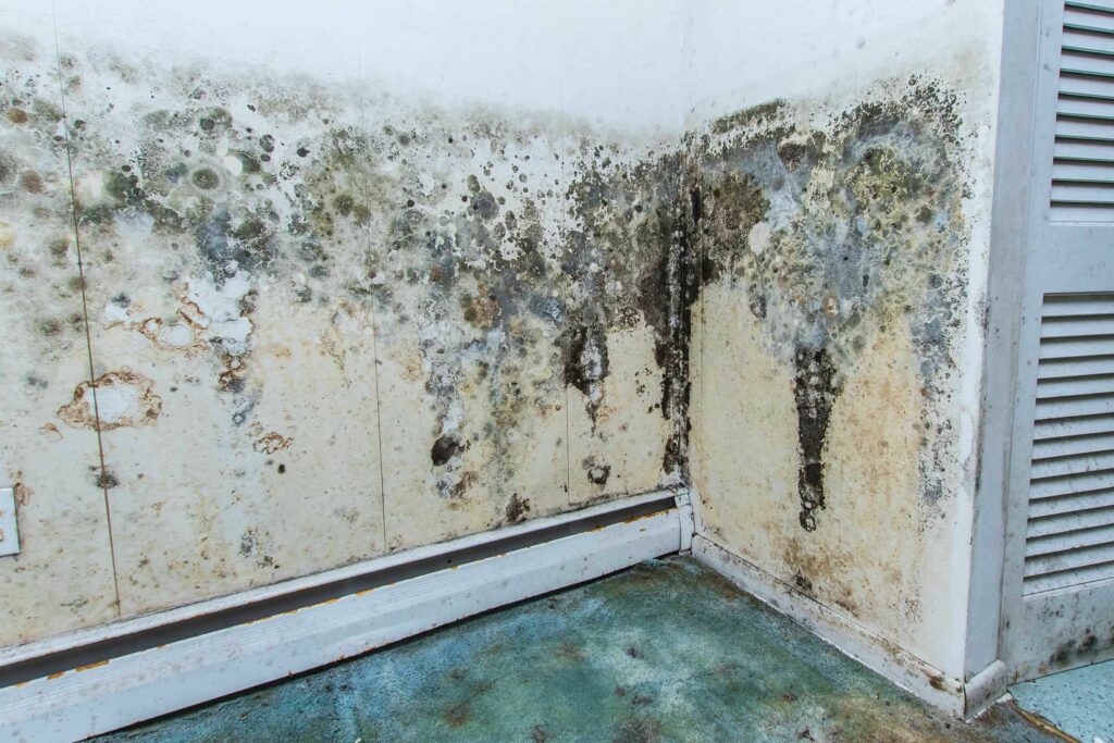 Is Water Damage Dangerous?