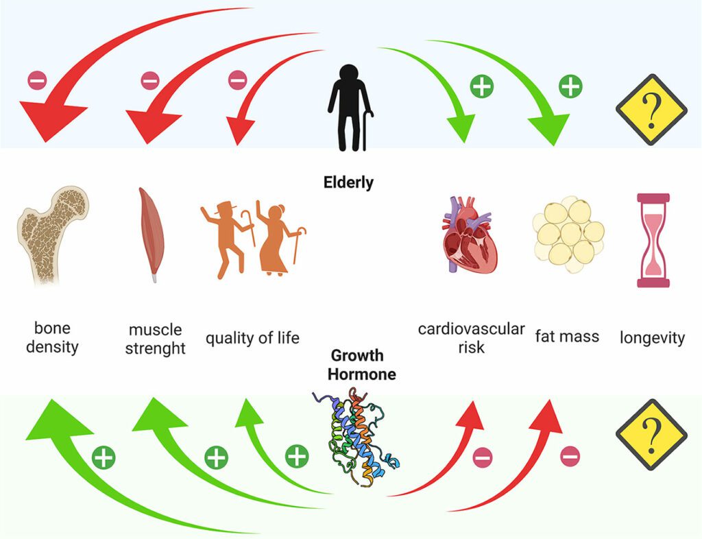 Human Growth Hormone