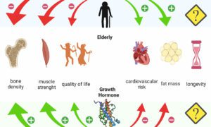 Human Growth Hormone