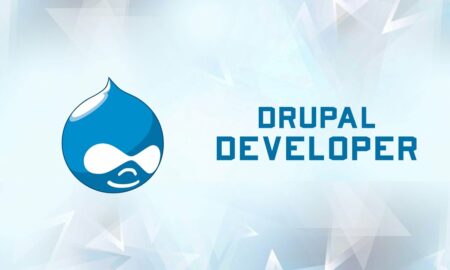 Drupal Developer