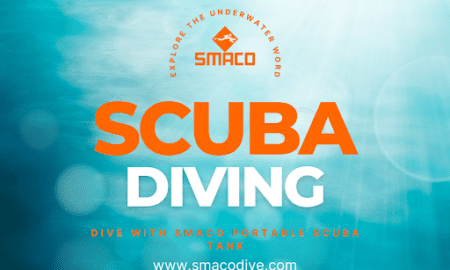 How to Choose the Right Scuba Diving Gear for Your Next Dive: A Comprehensive Guide