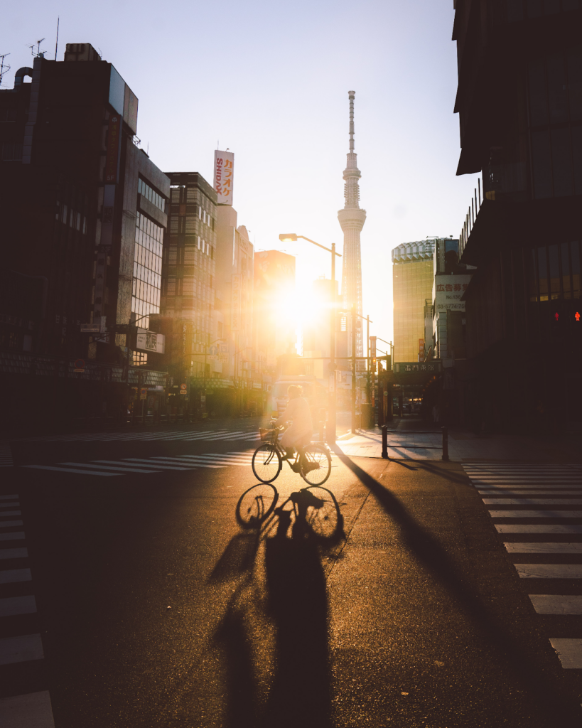Understanding Bicycle Accidents and Preventive Measures for Safer Cycling - Mark Scott