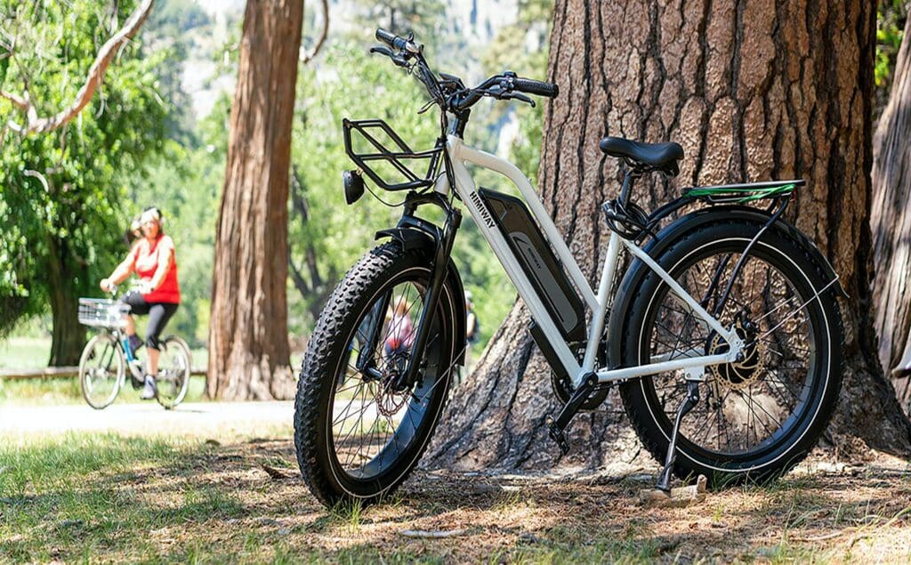 The Fat Tire Electric Bike