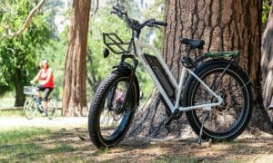 The Fat Tire Electric Bike