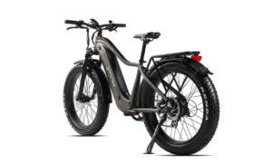 Fat Tire Electric Bike