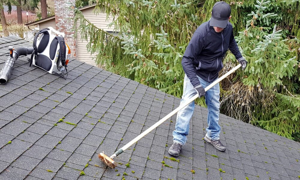 Roof Moss Cleaning 101 Hire an Expert For a MossFree Roof TechBullion