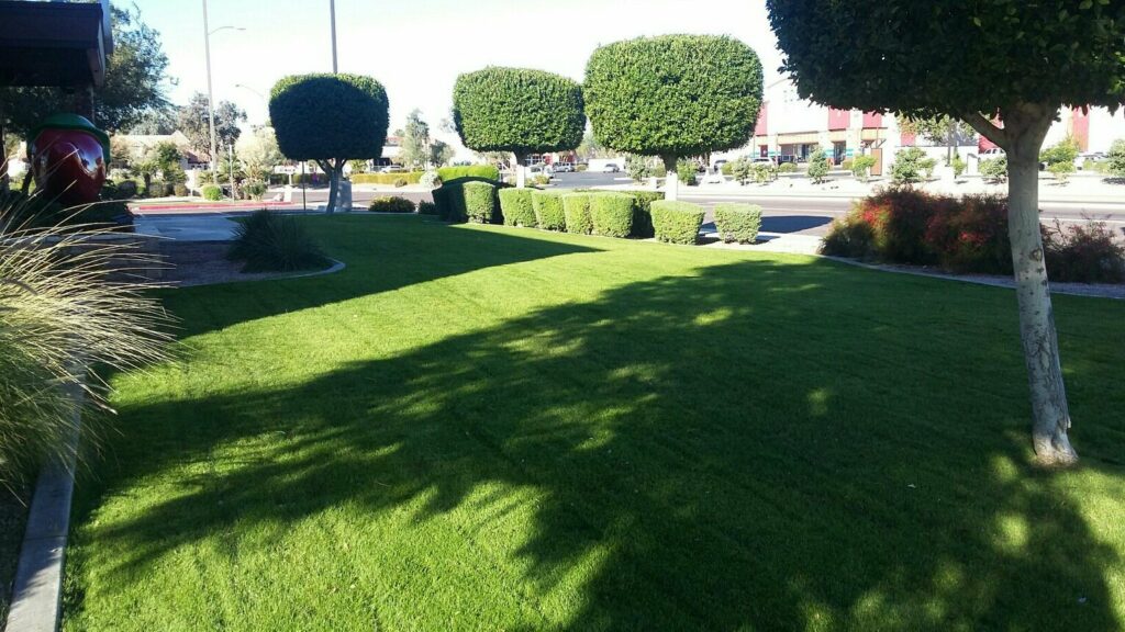 Commercial Garden Maintenance and Landscaping Services in Phoenix
