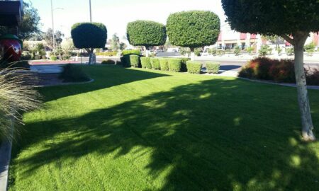 Commercial Garden Maintenance and Landscaping Services in Phoenix