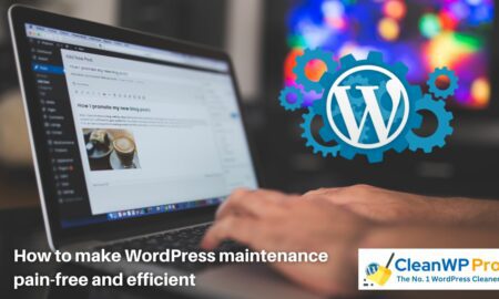 How to make WordPress maintenance pain-free and efficient