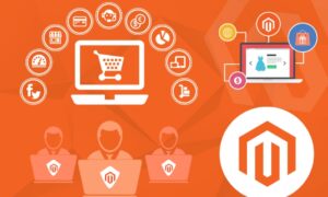 Magento Ecommerce Development Services