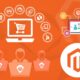 Magento Ecommerce Development Services