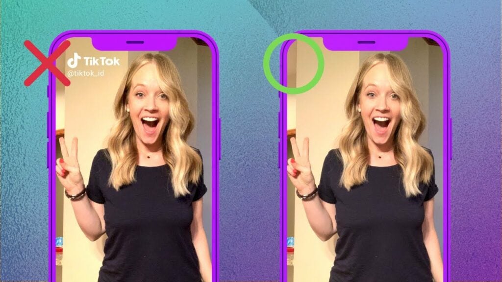 TikTok Watermark Remover