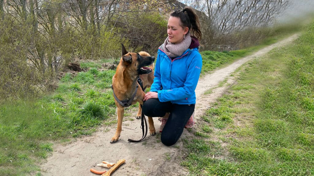 Top Training Tips for Happy and Well-Behaved Pets